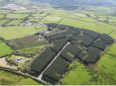 For Sale: Forestry Portfolio Sale of approx. 267.3 hectares (660.5 acres) in Rep of Ireland